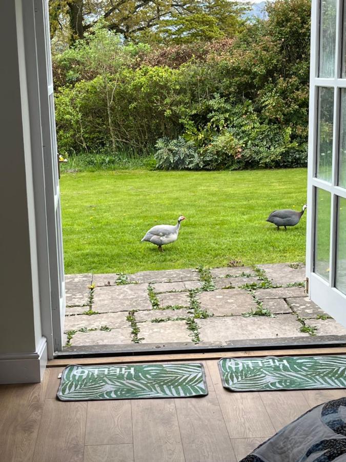 The Billiard - Cosy Country Retreat Abergavenny